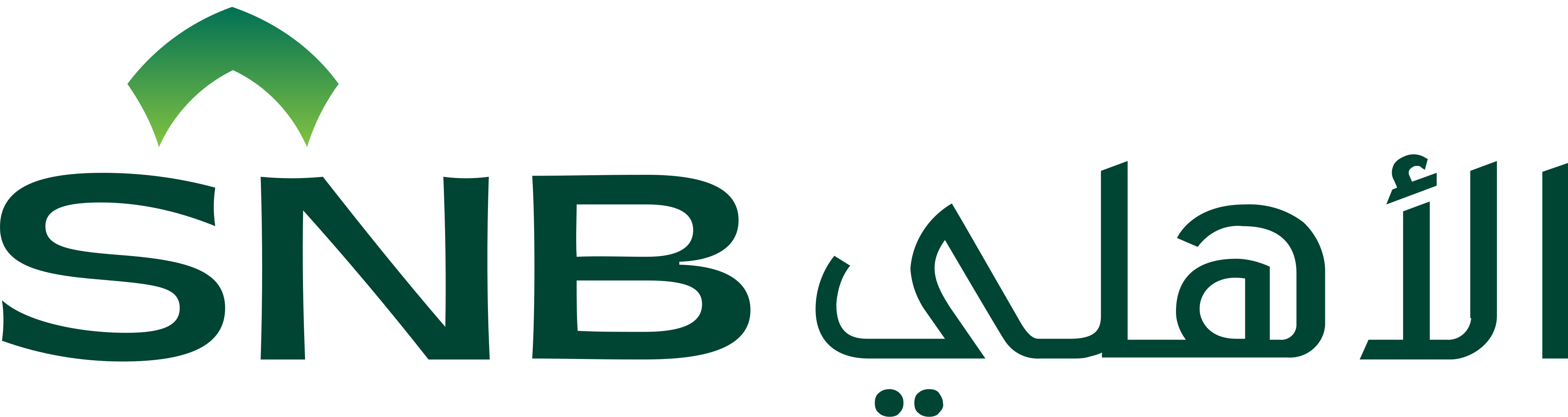 SNB (AlAhli)